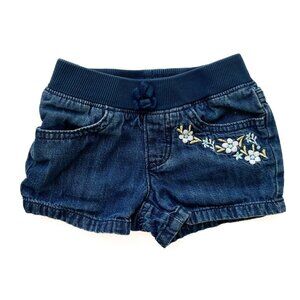 Crazy 8's Jean Shorts With Floral Embroidery